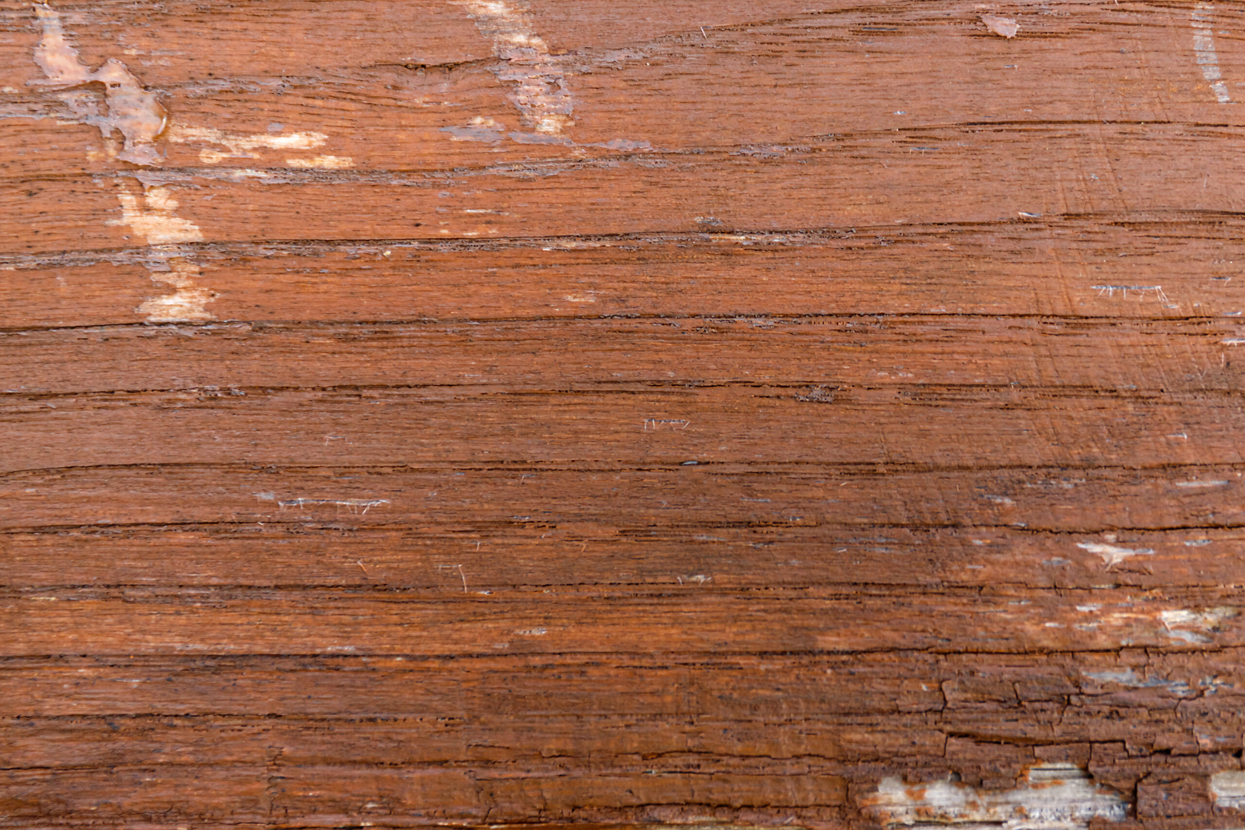 natural oak texture with beautiful wooden grain w 2021 11 03 06 05 18 utc scaled 9 things you didn’t know could be made from wood