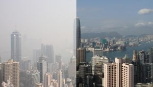 Hong kong haze comparison Forest Bathing for Suburbanites