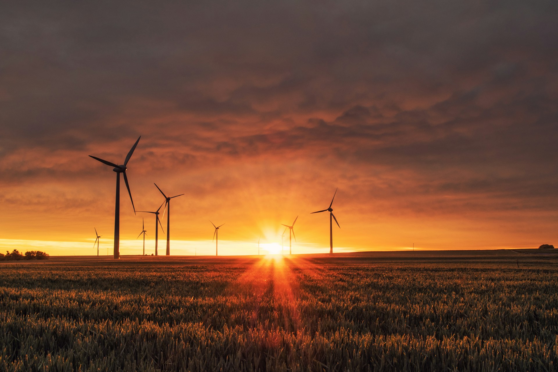Scientists announce a 10-point plan for a global shift to 100% renewables by 2035.