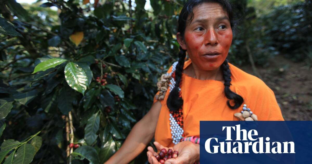 Special brew: eco-friendly Peruvian coffee leaves others in the shade
