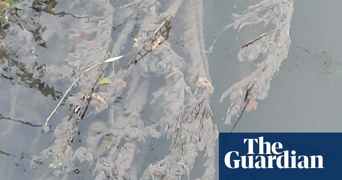 AI reveals 1,000 'dark discharges' of untreated sewage in England