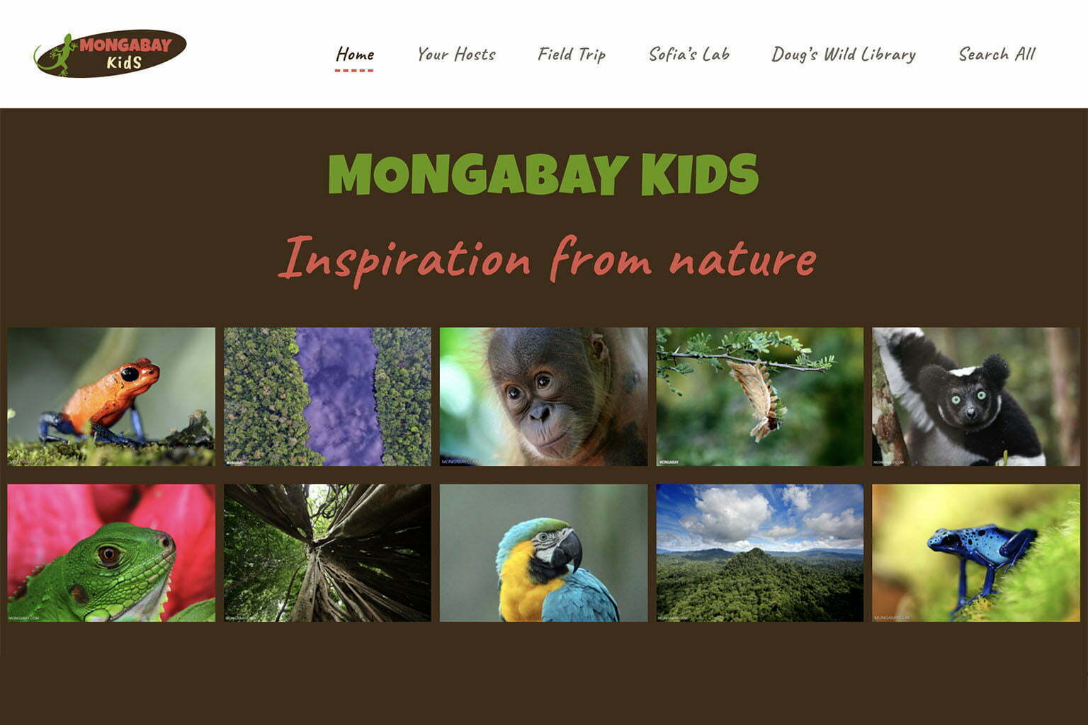 A new environmental education site for kids