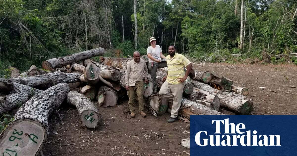 ‘Teeming with biodiversity’: green groups buy Belize forest to protect it ‘in perpetuity’