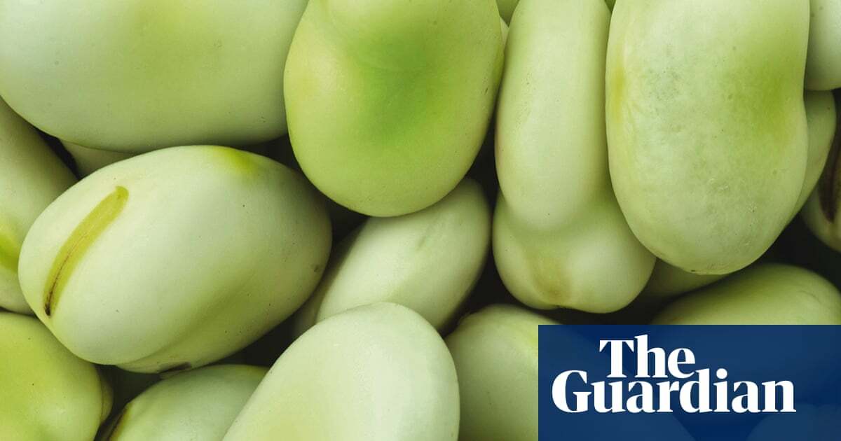 Legumes research gets flexitarian pulses racing with farming guidance