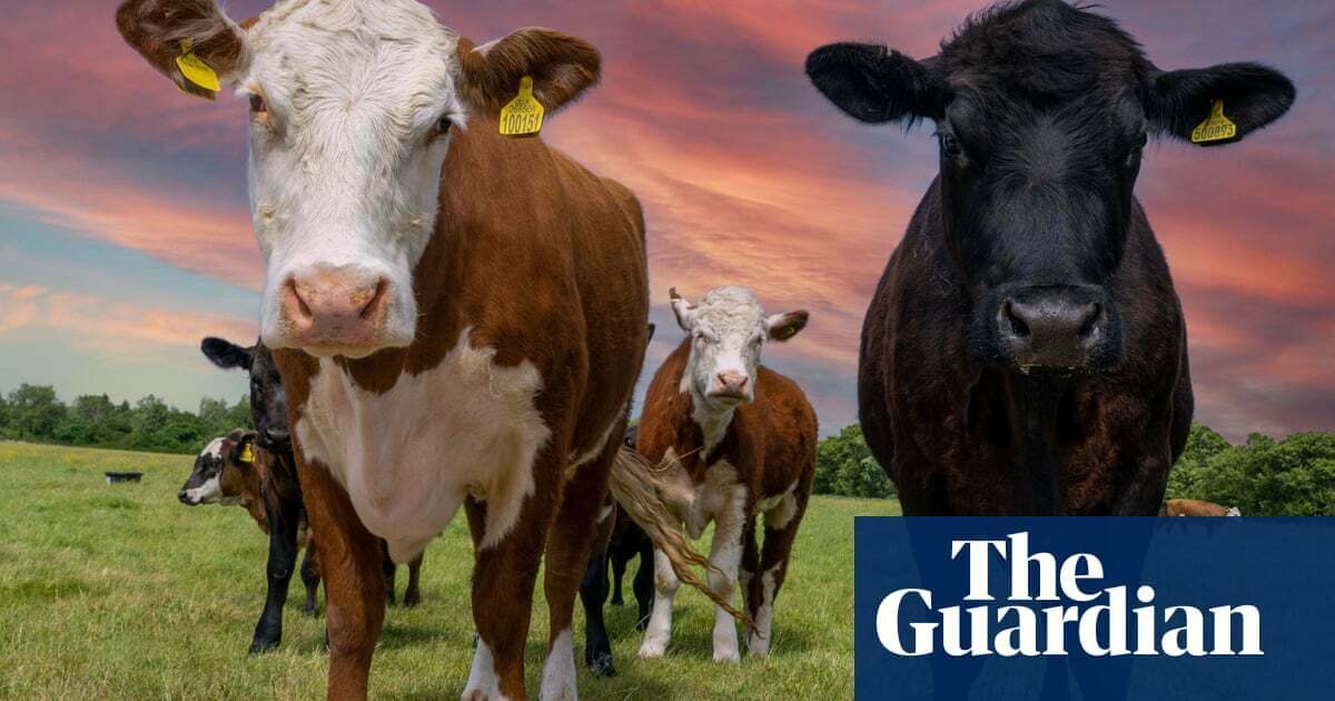 ‘Not anti-beef but pro-planet’: recipe website reveals it secretly took cows off the menu