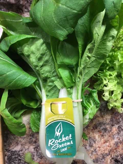 New Produce Tag on Pac Choi 3 - 2- 1 GROW. How Rocket Greens grow in Churchill, Manitoba