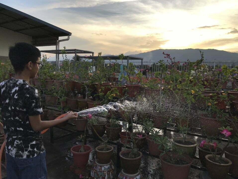 boy watering the plants at sunset t20 ywzOLa Cooler, Cleaner Megacities, One Rooftop Garden at a Time
