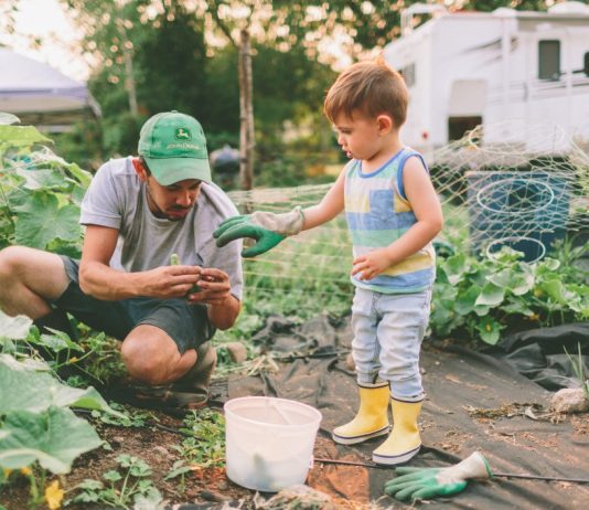 farm farm garden agriculture child gardening gardening boy toddler father dad farmer farming t20 Xz0Ozl Guerrilla Gardening and Seed Bombs - how to get started