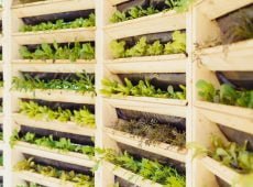 wooden system of vertical urban farming and gardening technology organic vertical kitchen garden with t20 nXgoj4 A Crop-by-Crop Comparison of Urban vs Conventional Farms Yields Turns Up Some Surprising Results