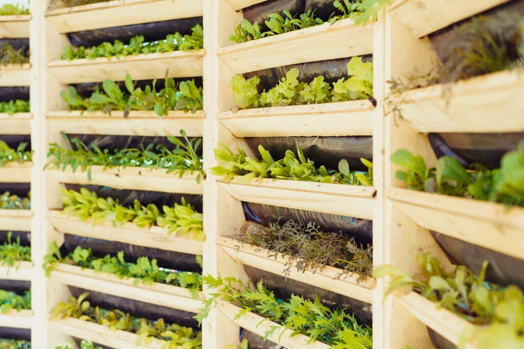 wooden system of vertical urban farming and gardening technology organic vertical kitchen garden with t20 nXgoj4 Vertical Farming - Is This the Future of Agriculture?