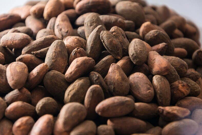 cocoa beans dried Amazon-Produced Cacao Offers Climate Solutions