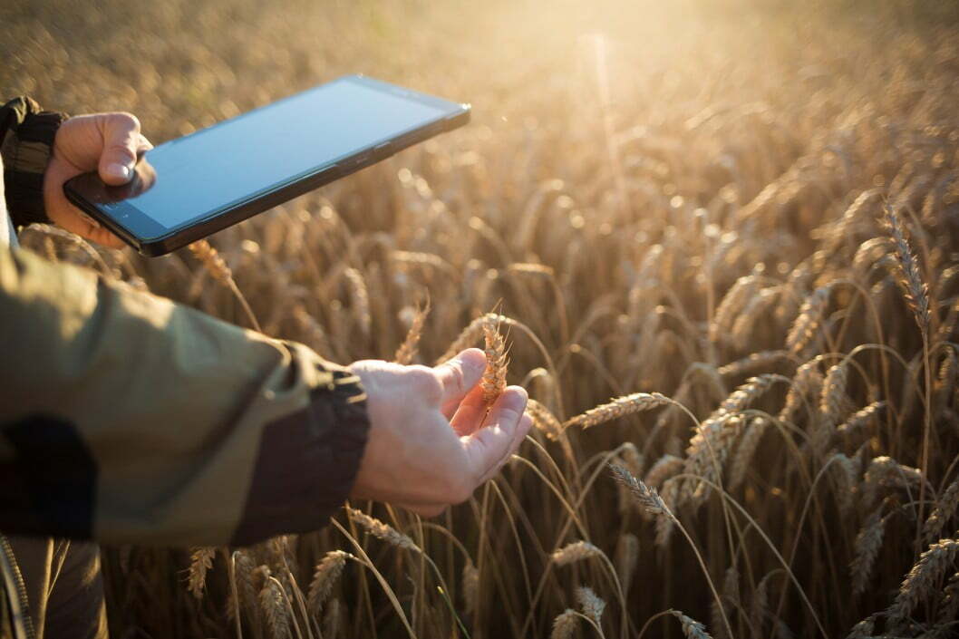 farmer agriculture field wheat crops tablet summer hand harvest farm farming man nature harvesting t20 omg9ge Relocating Global Croplands Could Produce the Same Food on Half the Land with 70% Less Emissions
