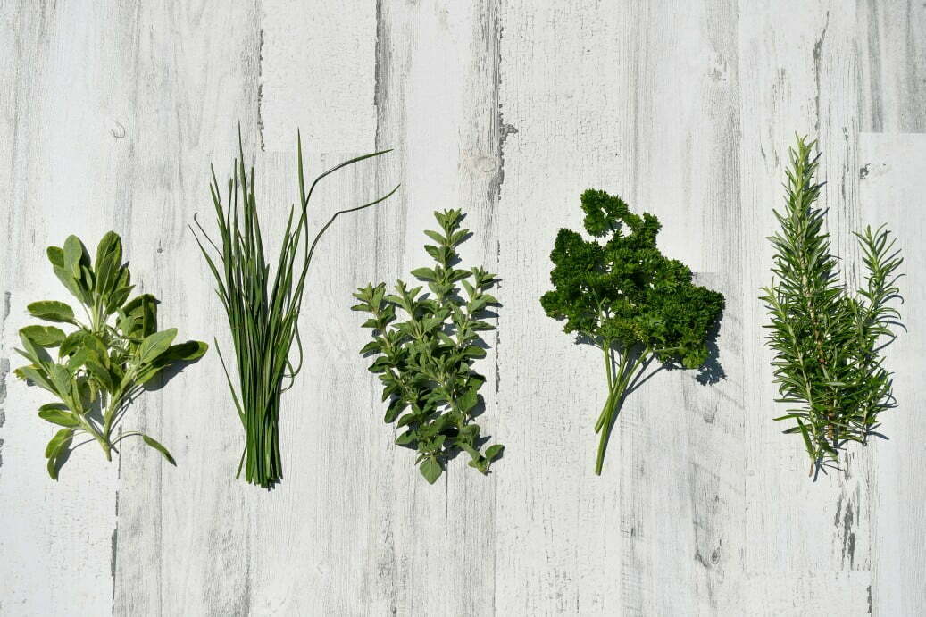 flat lay overhead top view of fresh green herbs on white distressed wood background oregano How to Choose the Right Herbs for Your Climate