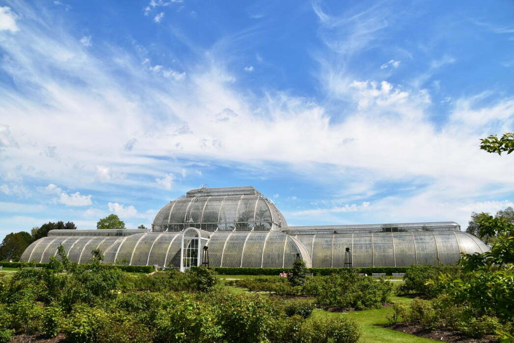 garden london big blue sky botanical palm house glass house kew kew gardens view of t20 ZJLPyg Kew Gardens: Royal Botanic Gardens breaks record for largest plant collection