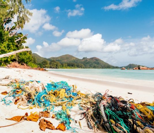 colorful fishing net and rope on tropical sandy beach t20 A9vgK6 Saving Endangered Marine Life with Illuminated Fishing Nets