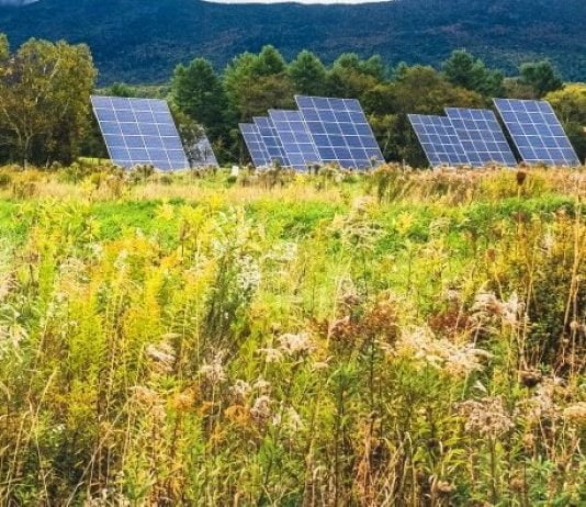 field of solar panels in vermont t20 3JjJg3 e1673039053399 New California Project Uses Solar Panels to Restore Native Prairie, Pollinator Habitat