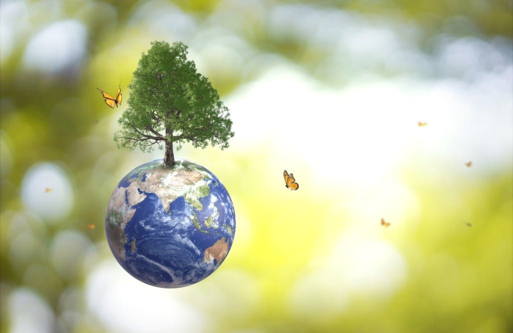 planet earth globe ball and growing tree flying yellow butterfly on green sunny blur background t20 ZJA4og Our Time on Earth Exhibition Provides "Space for Hope" in Climate Emergency, says Barbican Curator
