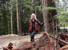 Suzanne Simard Exploring “Finding the Mother Tree: Discovering the Wisdom of the Forest” by Dr. Suzanne Simard