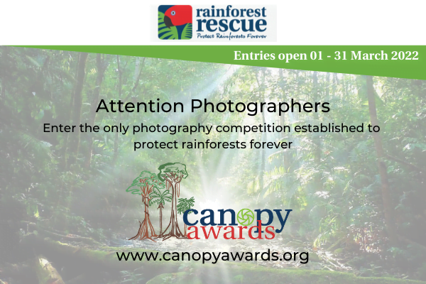 CA 600x400 2 Your Shutter Might Only Be Open For a Few Seconds But Your Pictures Could Help Protect Rainforests Forever