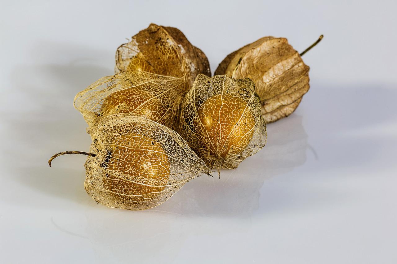 pixabay physalis alkekengi gc37b7dda6 1280 8 Stress Relieving Herbs and Plants That You Can Have In 2022