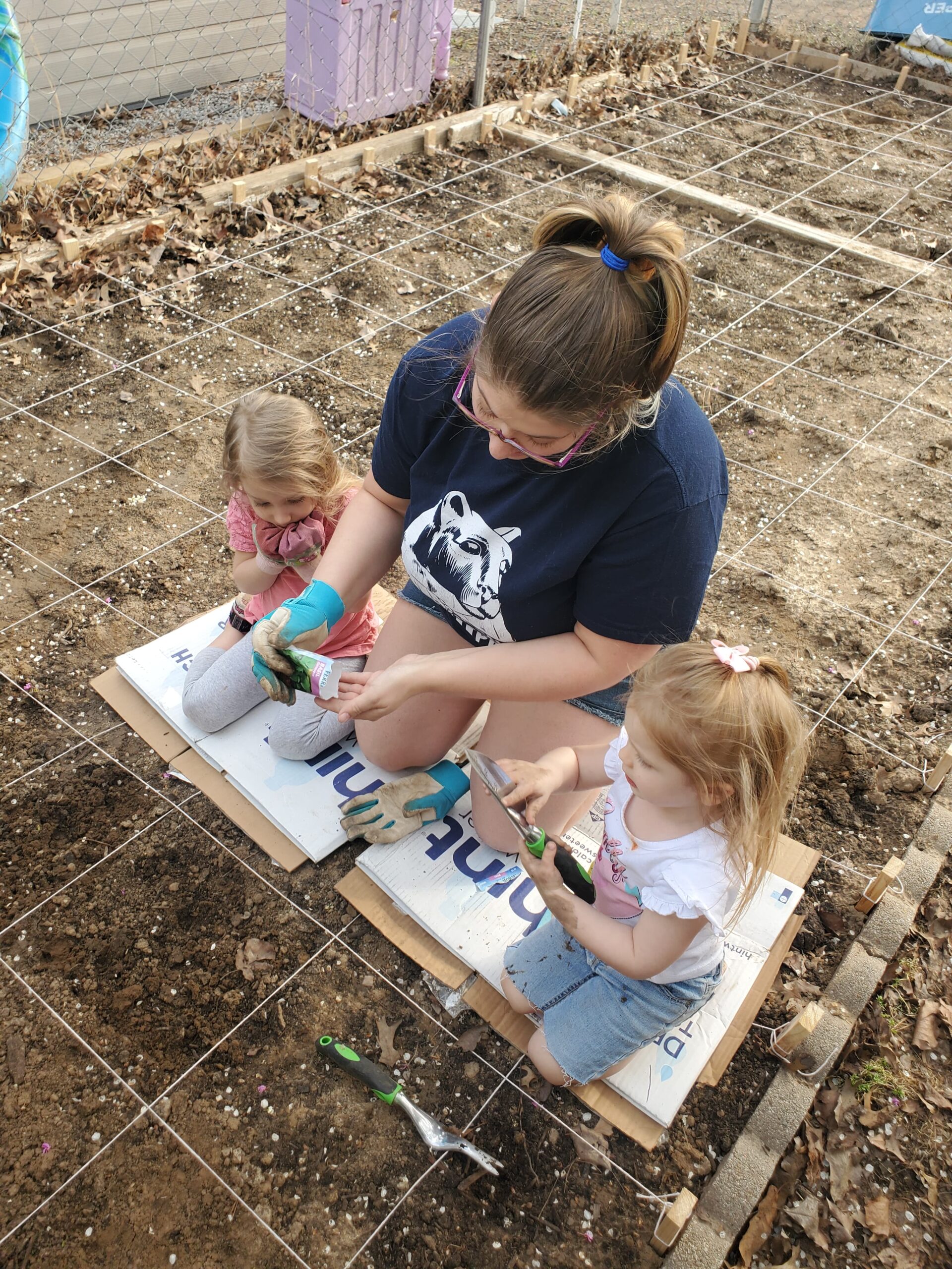 278912273 339358334850053 7250288918079993090 n scaled Planting Seeds & Blossoming Kids: Why You Should Incorporate Kids in Gardening