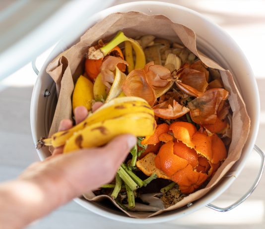 8D2E4F2C 71D9 4AC3 9314 9061091E1657 South Korea has Almost Zero Food Waste. Here’s What the US Can Learn
