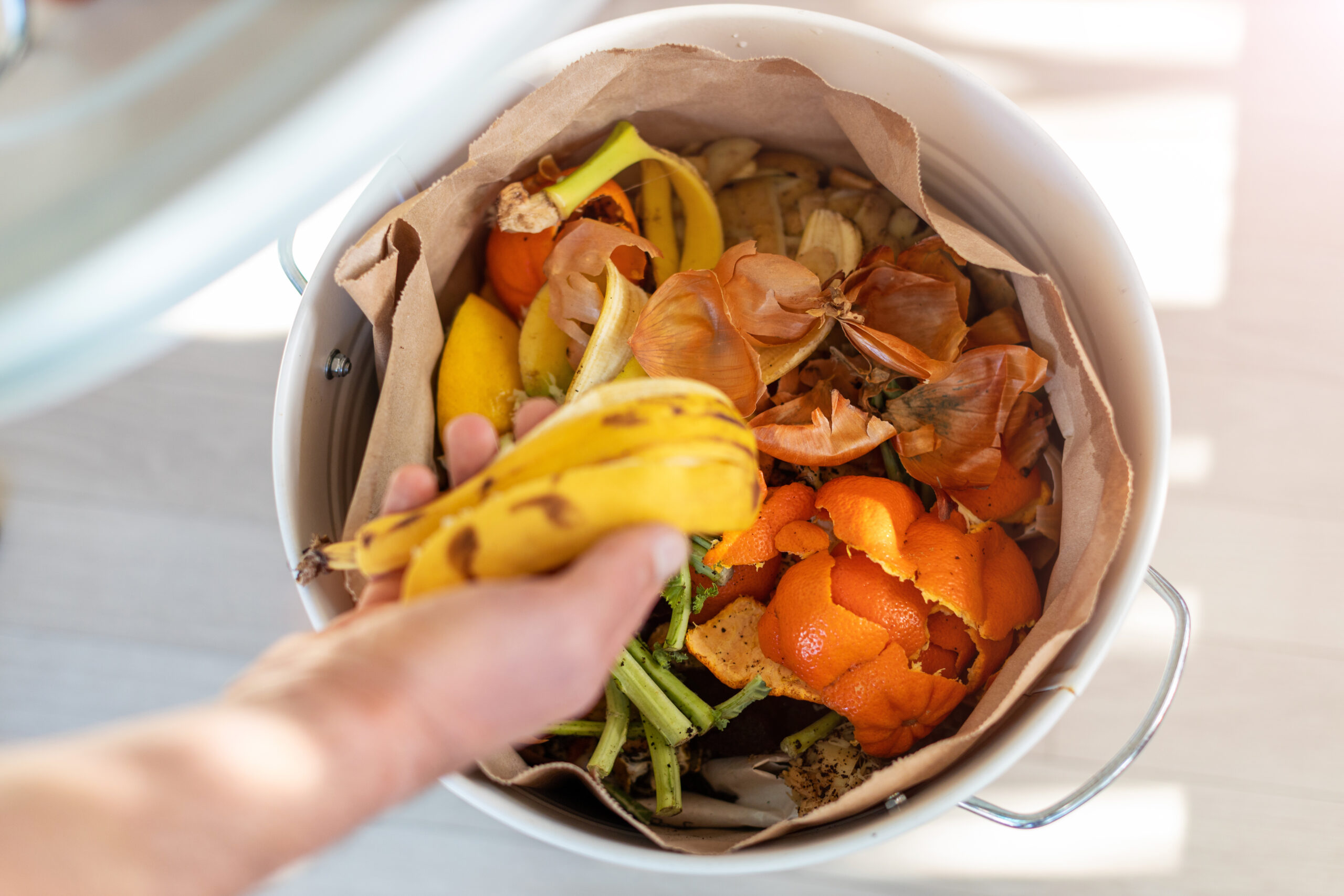 8D2E4F2C 71D9 4AC3 9314 9061091E1657 scaled South Korea has Almost Zero Food Waste. Here’s What the US Can Learn