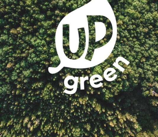 up green marketing digital strategy boost sales sustainable projects e1669164240872 Best Practices to Drive Sustainable Growth in Green Businesses