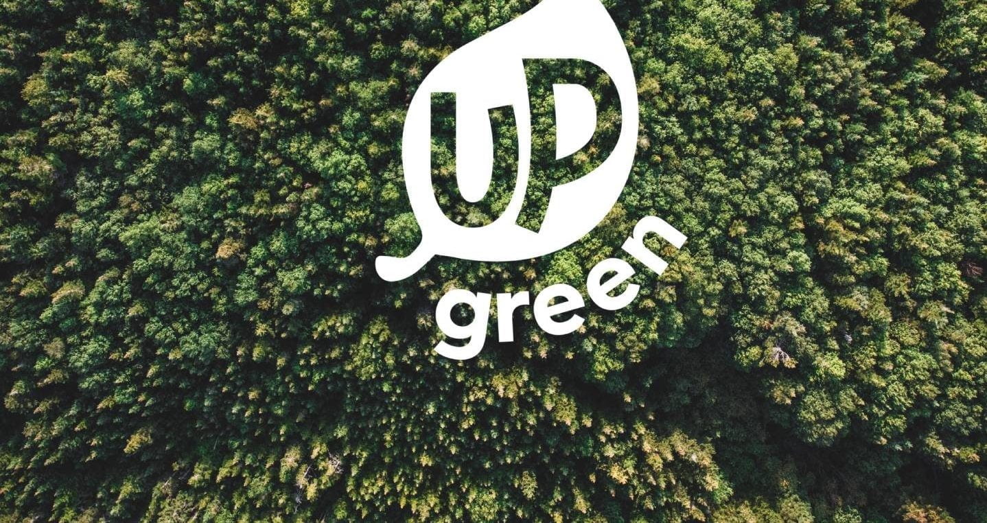 up green marketing digital strategy boost sales sustainable projects e1669164240872 Best Practices to Drive Sustainable Growth in Green Businesses