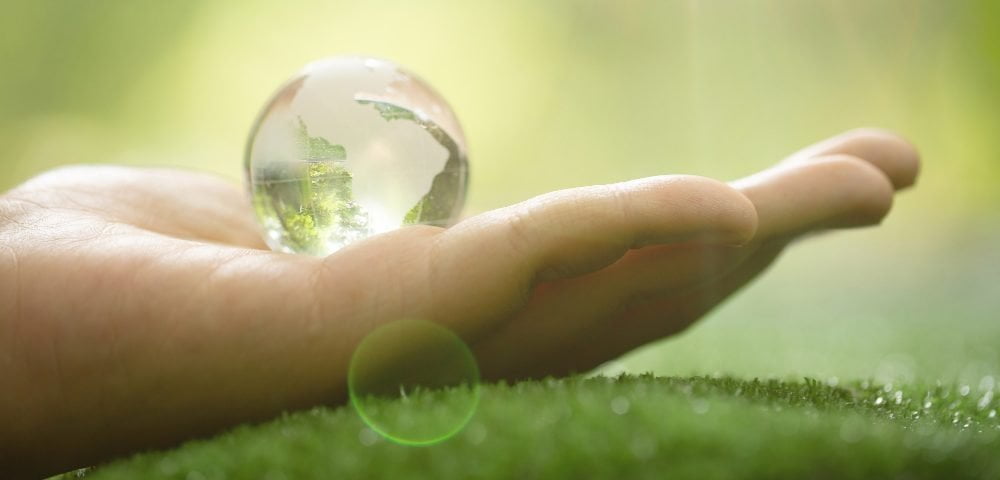 close up green planet your hands save earth e1672970683155 Taking Power Into Your Own Hands: How to Spot Greenwashing in 2023