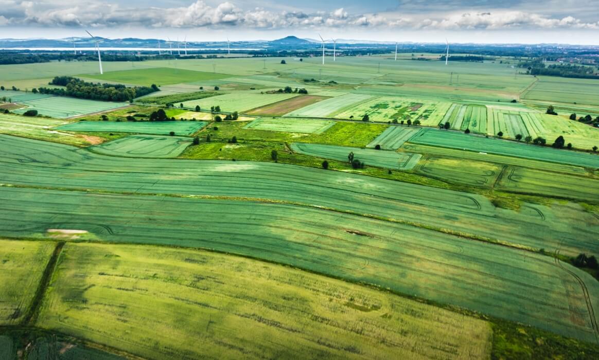 Farmland Featured Unsplash 5 Exciting Solutions Helping to Preserve and Protect at-Risk Farmland