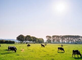 Penn State Debuts New Carbon Calculator Tool For Farmers. Source: Unsplash
