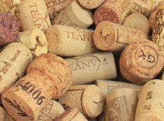 Cork one of the planet's most sustainable and renewable resources.