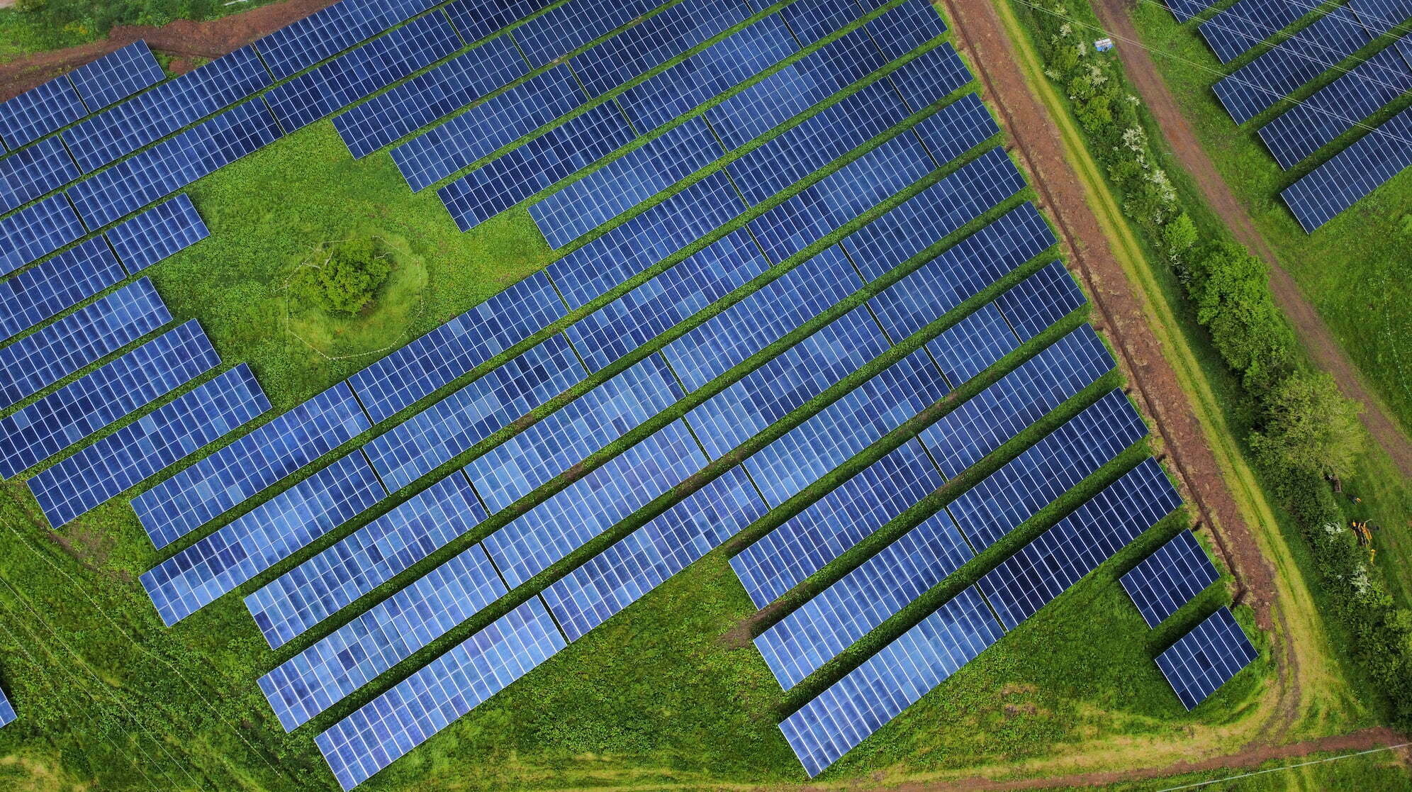 Larks Green Solar Farm is Unique in the UK. Image of Larks Green Solar Farm.