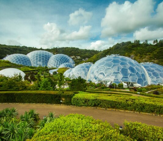 The Eden Project uses biomimicry in sustainable design and functionality of the greenhouse.