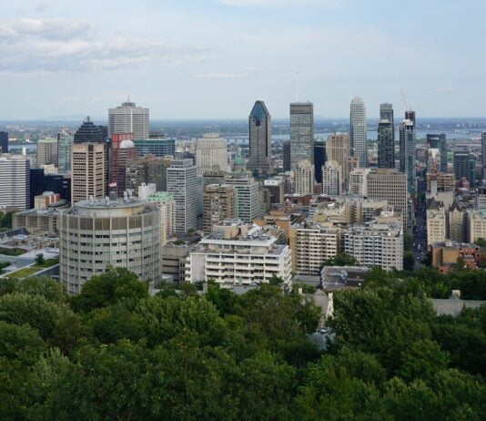 Montreal's SAESEM is a non-profit organization dedicated to implementing environmental projects to protect the environment and improve the quality of life of Montrealers.
