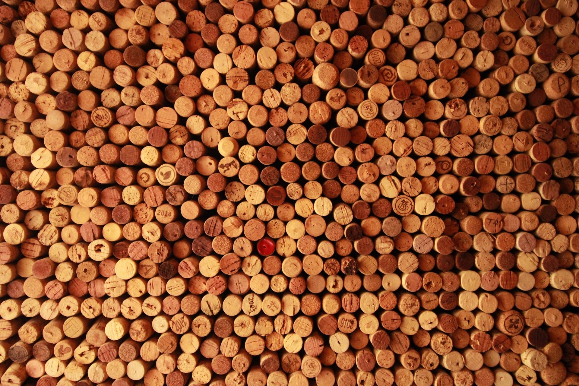 vince veras 1Df1X1upC0Q unsplash All the Ways to Use Ultra-Sustainable Cork in Your House