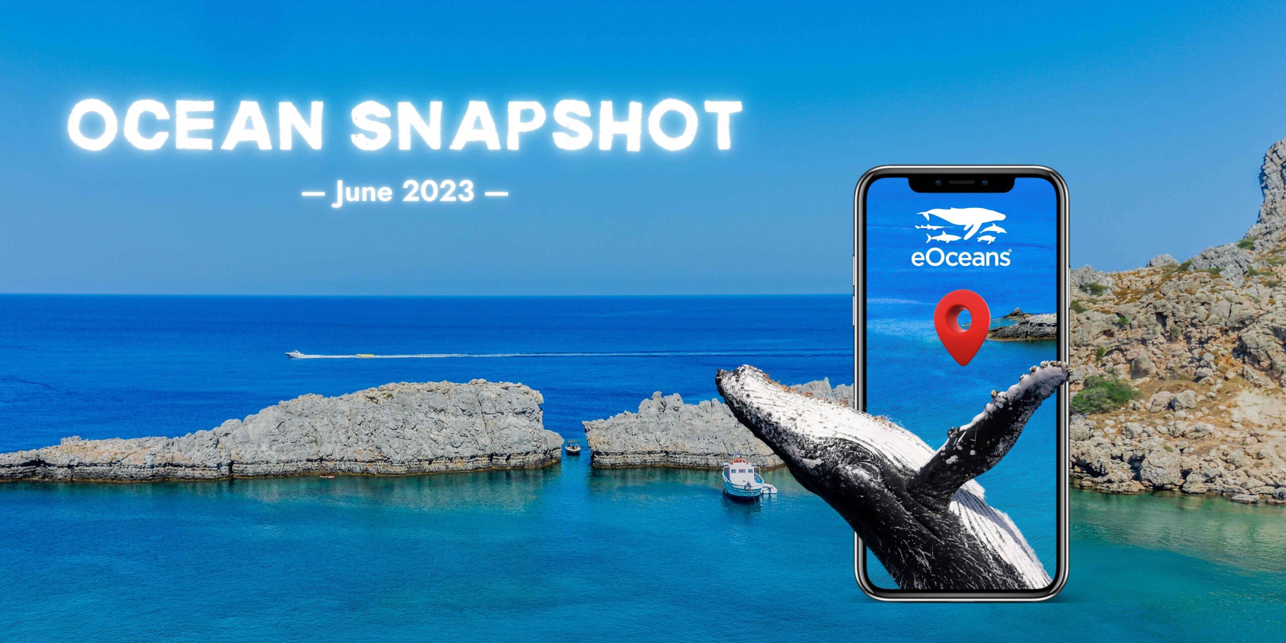 The Ocean Snapshot project is a brand-new initiative that’s been launched on the eOceans® app and platform, opening up a world of possibilities for individuals to make a significant impact for our beloved ocean.
