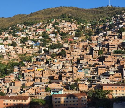 Green roofs on favelas in Brazil cool ambient temperatures, reduce storm runoff and more.