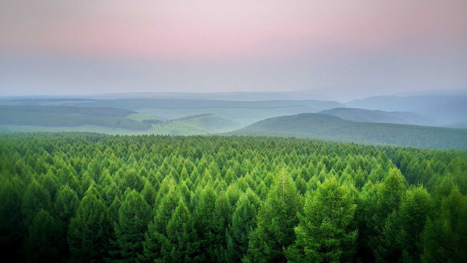What Should Eco-Conscious Consumers Know About the FSC?