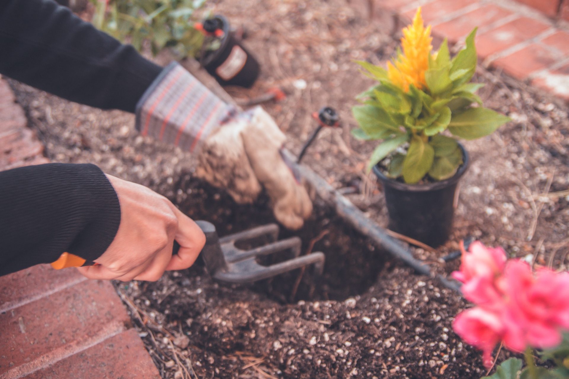 The Benefits of Closed Loop Gardening Happy Eco News