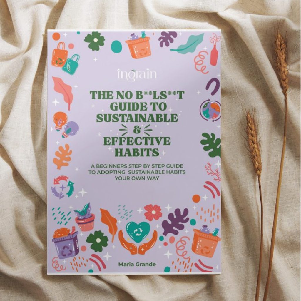 The no nonsense guide to sustainable and effective habits: A beginners step by step guide to adopting sustainable habits your own way
