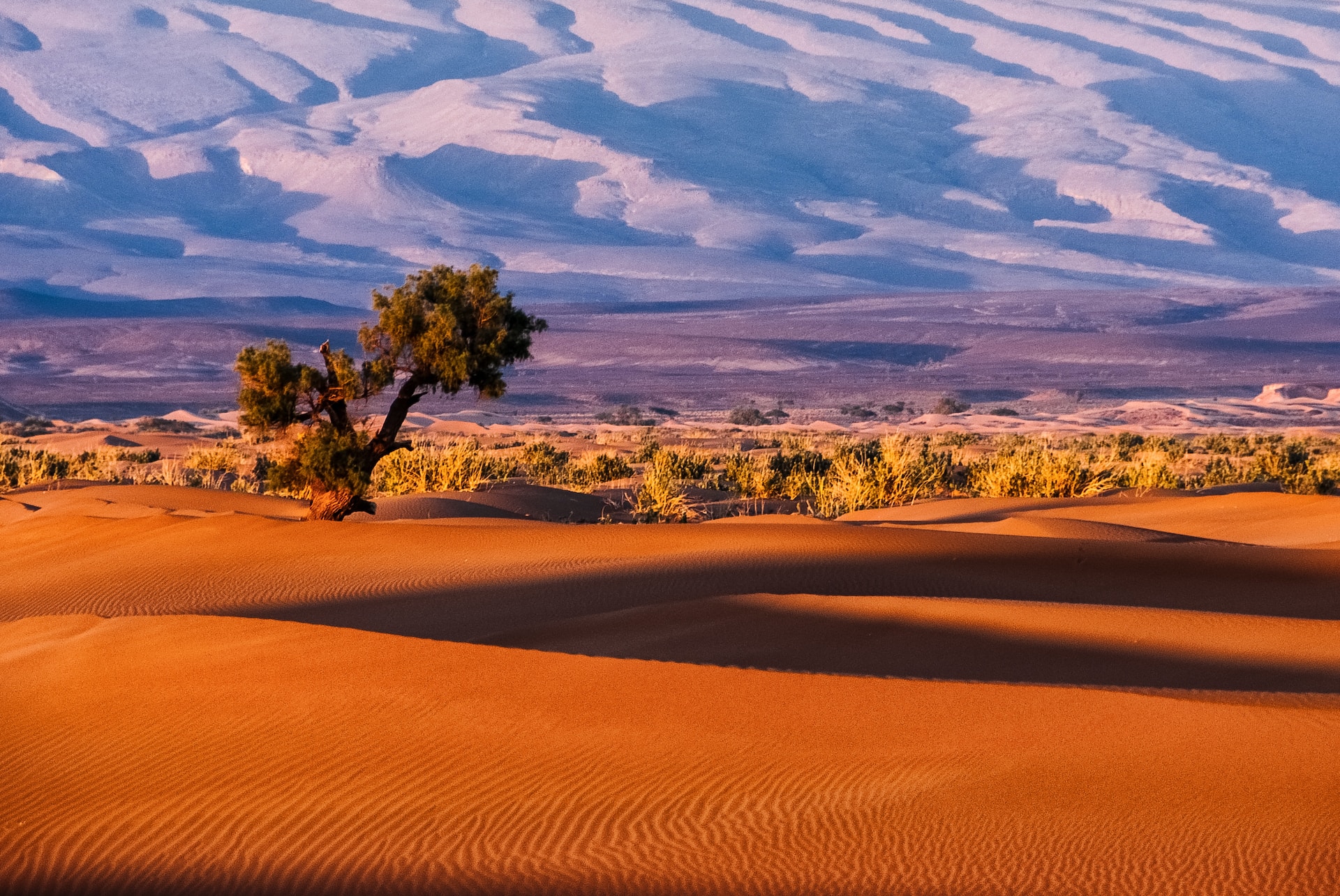 Sahara circular gardens: An innovative response to ongoing desertification and food security.