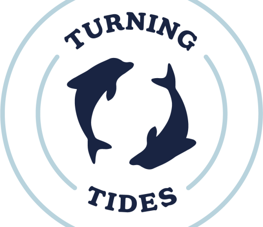 Navigating together: How Turning Tides supports and connects young changemakers.