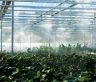 Nurturing Sustainability: Farm Sales for a Brighter, Greener Future