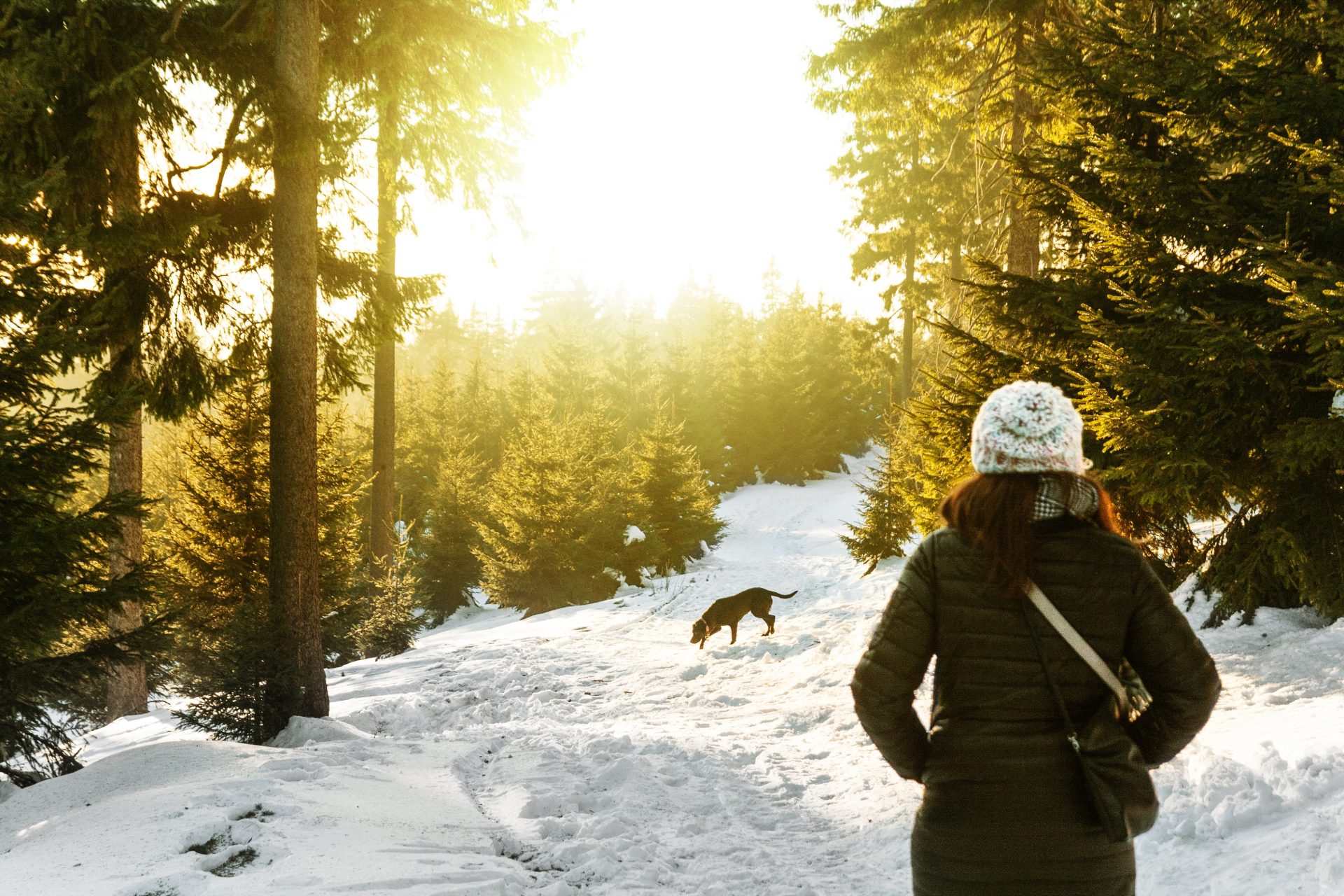 Take a Walk Outdoors Day: Forest bathing in the winter.