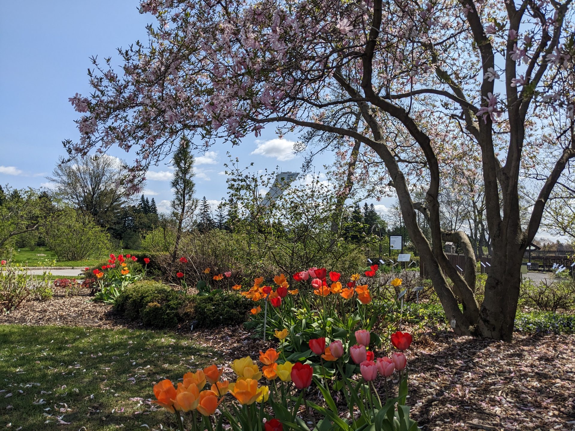 National Public Gardens Day - Second Friday in May