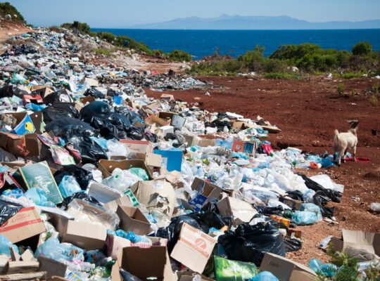 April 22- Earth Day: Planet vs Plastics