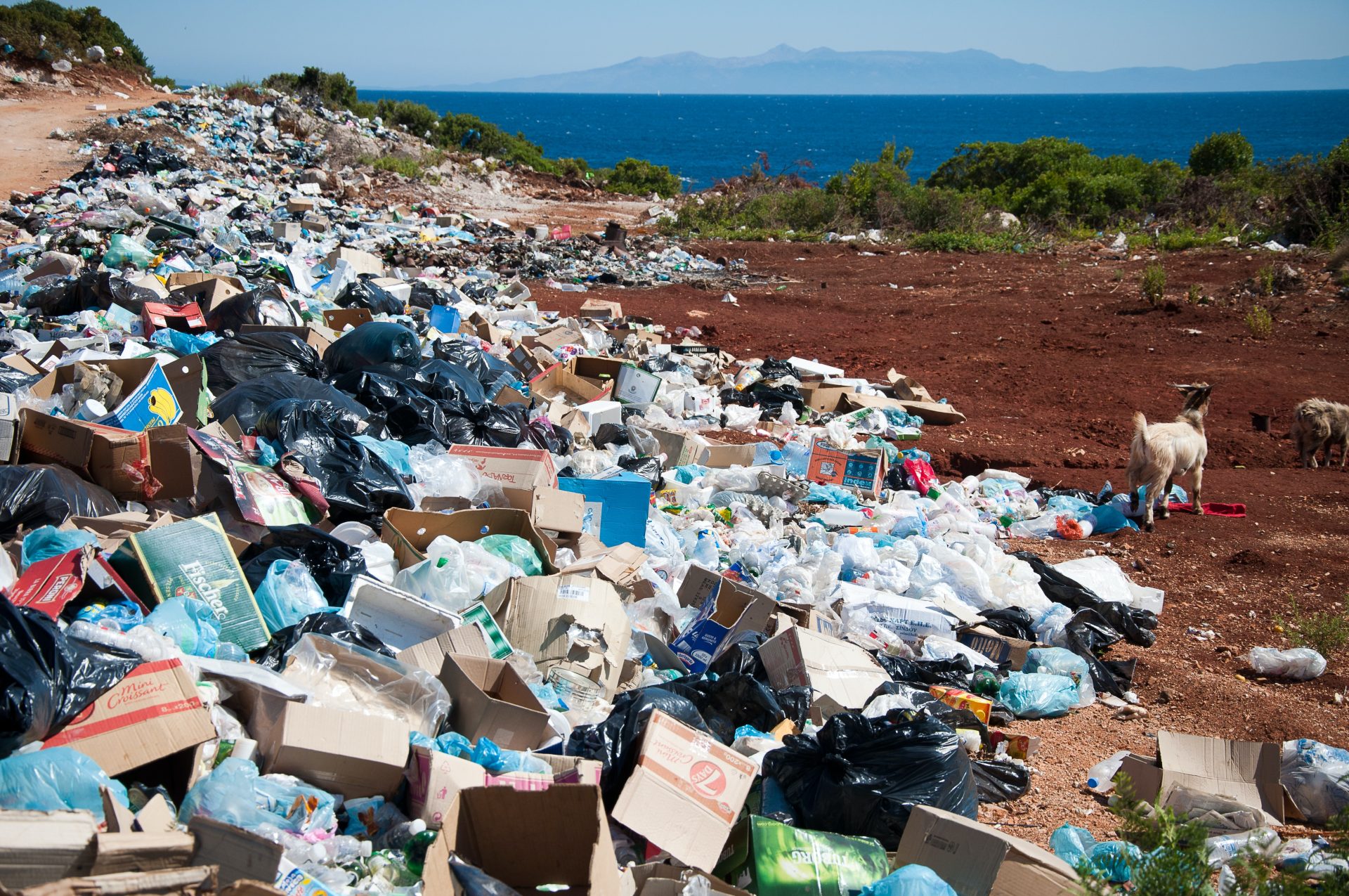 April 22- Earth Day: Planet vs Plastics