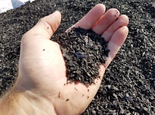 Oregon Biochar Solutions and Oka bring the first-ever insured biochar credits to the voluntary carbon market.